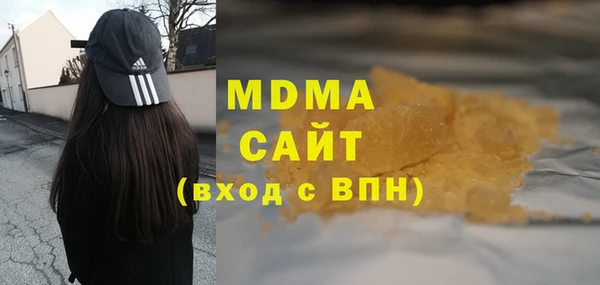 индика Богородицк